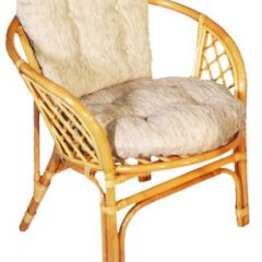 Кресло Багама, подушки светлые обычные шенил (Мёд) в Советском - sovetskiy.mebel24.online | фото 1