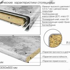 Кухонный фартук со столешницей (А-01) в едином стиле (3050 мм) в Советском - sovetskiy.mebel24.online | фото 6