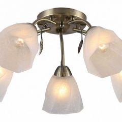 Потолочная люстра Rivoli Olivia Б0052693 в Советском - sovetskiy.mebel24.online | фото