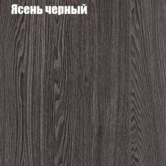 Прихожая ДИАНА-4 сек №10 (Ясень анкор/Дуб эльза) в Советском - sovetskiy.mebel24.online | фото 3