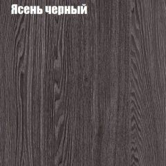 Прихожая ДИАНА-4 сек №14 (Ясень анкор/Дуб эльза) в Советском - sovetskiy.mebel24.online | фото 3