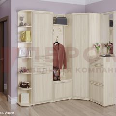 Прихожая Карина композиция 5 (Ясень Асахи) в Советском - sovetskiy.mebel24.online | фото