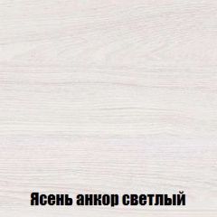 Шкаф 2-х створчатый МСП-1 (Ясень Анкор светлый) в Советском - sovetskiy.mebel24.online | фото 4