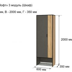 ОЛЬГА-ЛОФТ 3 Шкаф 2-х створчатый в Советском - sovetskiy.mebel24.online | фото 4