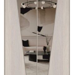 Шкаф-купе 1500 серии SILVER S1+S1+B2+PL2 (2 ящика+1 штанга+1 полка) профиль «Серебро» в Советском - sovetskiy.mebel24.online | фото 12
