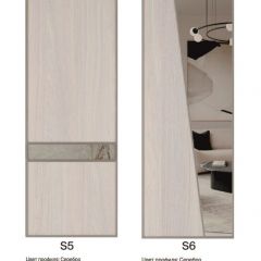 Шкаф-купе 1950 серии SILVER S6+S1+S6Z B22+PL1 (по 2 ящика лев/прав+1 штанга) профиль «Серебро» в Советском - sovetskiy.mebel24.online | фото 13