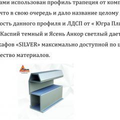 Шкаф-купе 1950 серии SILVER S6+S1+S6Z B22+PL1 (по 2 ящика лев/прав+1 штанга) профиль «Серебро» в Советском - sovetskiy.mebel24.online | фото 16