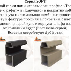 Шкаф-купе 2100 серии SOFT D2+D7+D3+B22+PL2 (по 2 ящика лев/прав+1штанга+1полка) профиль «Графит» в Советском - sovetskiy.mebel24.online | фото 12