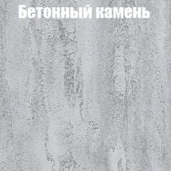 Шкаф-купе Бассо 1.0 (Дуб Крафт серый/Бетонный камень) 2 двери ЛДСП в Советском - sovetskiy.mebel24.online | фото 3
