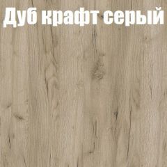 Шкаф-купе Бассо 1.0 (Дуб Крафт серый/Бетонный камень) 2 двери ЛДСП в Советском - sovetskiy.mebel24.online | фото 4