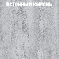 Шкаф-купе Эдем 1.5 (Дуб Крафт серый/Бетонный камень) двери ЛДСП вставка зеркало в Советском - sovetskiy.mebel24.online | фото 3