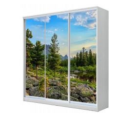 Шкаф-купе ХИТ 22-20-777 (620) в Советском - sovetskiy.mebel24.online | фото