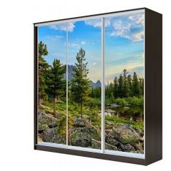 Шкаф-купе ХИТ 23-4-18-777 (420) в Советском - sovetskiy.mebel24.online | фото 1