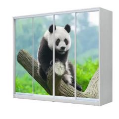 Шкаф-купе ХИТ 23-4-24/2-7777 (420) в Советском - sovetskiy.mebel24.online | фото