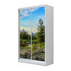 Шкаф-купе ХИТ 24-4-17-77 (420) в Советском - sovetskiy.mebel24.online | фото