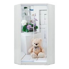 Шкаф-купе ХИТ-У-23-4-77 в Советском - sovetskiy.mebel24.online | фото