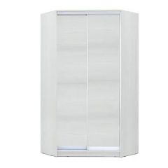 Шкаф-купе ХИТ-У-24-4-11 в Советском - sovetskiy.mebel24.online | фото