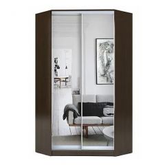 Шкаф-купе ХИТ-У-L-23-64-55 в Советском - sovetskiy.mebel24.online | фото 1
