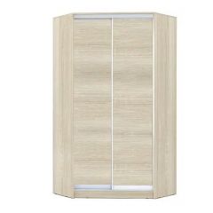 Шкаф-купе ХИТ-У-L-24-64-11 в Советском - sovetskiy.mebel24.online | фото 8