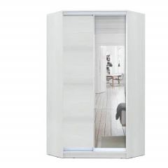 Шкаф-купе ХИТ-У-L-24-64-15 в Советском - sovetskiy.mebel24.online | фото