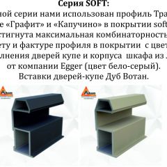 Шкаф-купе 1400 серии SOFT D1+D3+B2+PL1 (2 ящика+1штанга) профиль «Графит» в Советском - sovetskiy.mebel24.online | фото 5