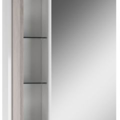 Шкаф-зеркало Uno 60 Дуб серый левый/правый Домино (DU1503HZ) в Советском - sovetskiy.mebel24.online | фото 3