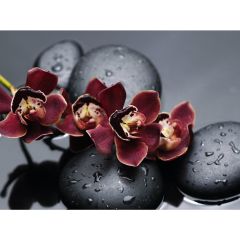 Стол обеденный Бостон Ст101.1 орхидеи в Советском - sovetskiy.mebel24.online | фото 3