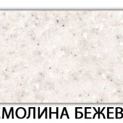 Стол обеденный Паук пластик  Аламбра в Советском - sovetskiy.mebel24.online | фото 33