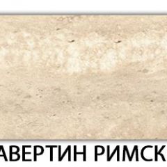 Стол обеденный Паук пластик  Аламбра в Советском - sovetskiy.mebel24.online | фото 37
