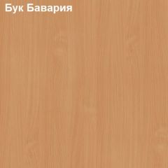 Стол письменный Логика Л-1.12 в Советском - sovetskiy.mebel24.online | фото