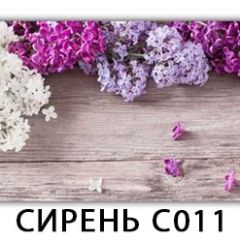 Стол раздвижной Трилогия с фотопечатью Орхидея C012 в Советском - sovetskiy.mebel24.online | фото 16