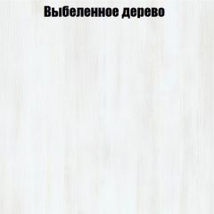 Вешалка V3 в Советском - sovetskiy.mebel24.online | фото 4