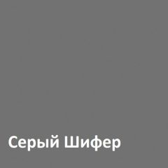 Юнона Шкаф торцевой 13.221 в Советском - sovetskiy.mebel24.online | фото 2