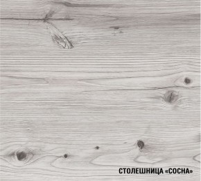 АСАЯ Кухонный гарнитур Экстра 2 (3000 мм) ПМ в Советском - sovetskiy.mebel24.online | фото 8