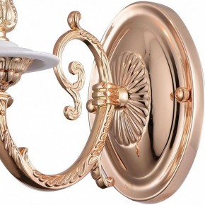Бра Arte Lamp 8020 A8020AP-1WG в Советском - sovetskiy.mebel24.online | фото 4