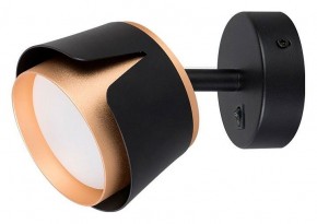 Бра Arte Lamp Amaks A8028AP-1BK в Советском - sovetskiy.mebel24.online | фото
