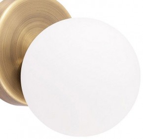 Бра Arte Lamp Bolla-piccolo A3989AP-1AB в Советском - sovetskiy.mebel24.online | фото