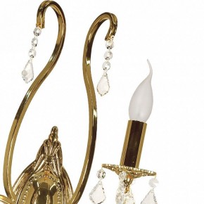 Бра Arti Lampadari Ercolano Ercolano E 2.1.2.602 G в Советском - sovetskiy.mebel24.online | фото 8