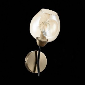 Бра EVOLUCE Besano SLE205301-01 в Советском - sovetskiy.mebel24.online | фото 5