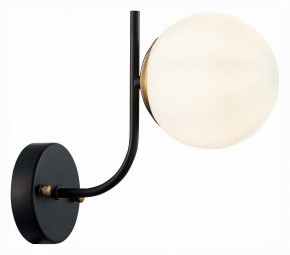 Бра EVOLUCE Ciane SLE1098-401-01 в Советском - sovetskiy.mebel24.online | фото 3