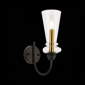 Бра EVOLUCE Rammo SLE112401-01 в Советском - sovetskiy.mebel24.online | фото 8