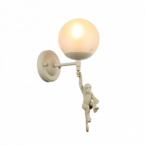 Бра EVOLUCE Tenato SLE115101-01 в Советском - sovetskiy.mebel24.online | фото 2