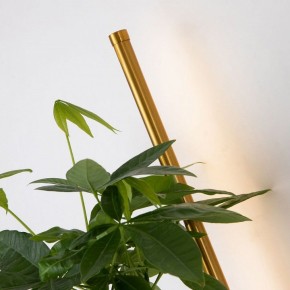 Бра Favourite Greenery 4050-1W в Советском - sovetskiy.mebel24.online | фото 10