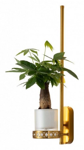Бра Favourite Greenery 4050-1W в Советском - sovetskiy.mebel24.online | фото 3