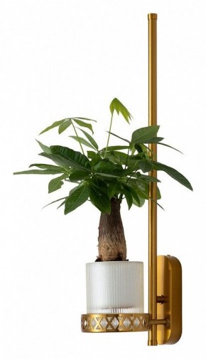 Бра Favourite Greenery 4050-1W в Советском - sovetskiy.mebel24.online | фото 4