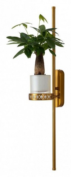 Бра Favourite Greenery 4050-2W в Советском - sovetskiy.mebel24.online | фото 11
