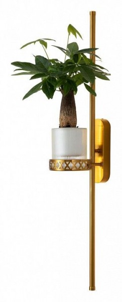 Бра Favourite Greenery 4050-2W в Советском - sovetskiy.mebel24.online | фото 3