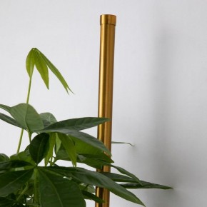 Бра Favourite Greenery 4050-2W в Советском - sovetskiy.mebel24.online | фото 8