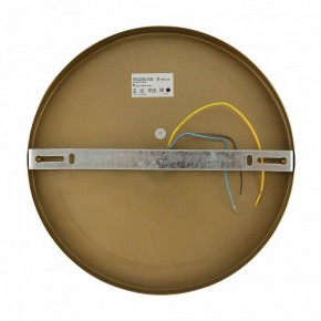 Бра Freya Zelda FR5125WL-01BS в Советском - sovetskiy.mebel24.online | фото 6