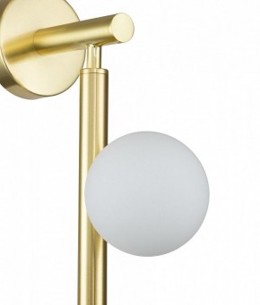 Бра Indigo Flusso 11025/3W Gold в Советском - sovetskiy.mebel24.online | фото